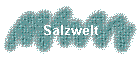 Salzwelt